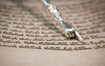 Chukát (חֻקַּת) hetiszakaszunk, és ami a sorok között rejlik