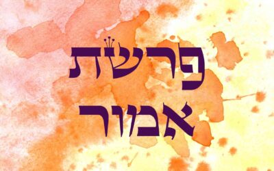 Következő hetiszakaszunk: Emor (אמור)