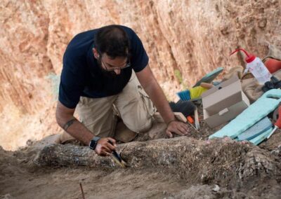 Félmillió éves óriási elefánt agyarra bukkantak Izraelben