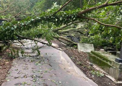 Nagy károkat okozott a csütörtöki vihar a Kozma utcai temetőben