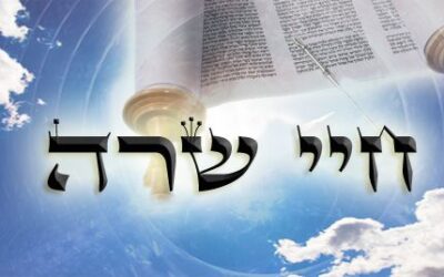 Következő hetiszakaszunk: Chájé Szárá (חַיֵּי שָׂרָה)