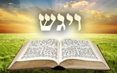 Következő hetiszakaszunk: Vájigás (וַיִּגַּש)