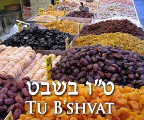 Tu BiSvát ünnepének szokásai Izraelben és a diaszpórában