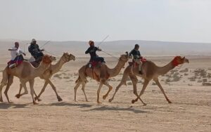 Megrendezték az első államilag támogatott teveversenyt a Negev-sivatagban