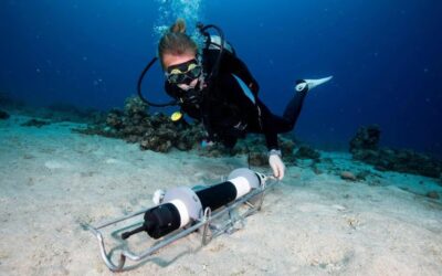 Izraeli tudósok feltárták az Akabai-öbölben található korallzátony mikrobiális pulzusát