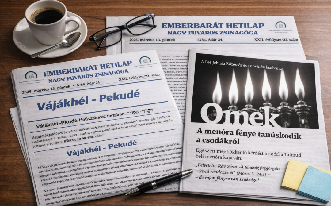 A BZSH körzeteinek frissen megjelent közösségi újságjai