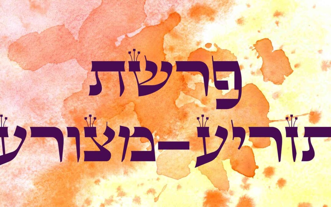 Következő hetiszakaszunk: Tázriá-Möcorá (תַזְרִיעַ-מְּצֹרָע)
