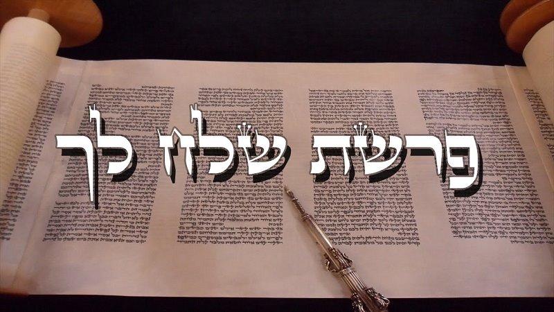 Következő hetiszakaszunk: Sölach-Löchá (שְׁלַח-לְךָ)